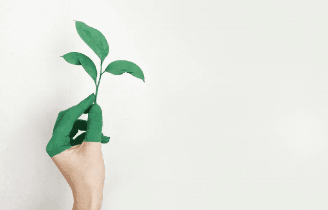 Article Banner Image