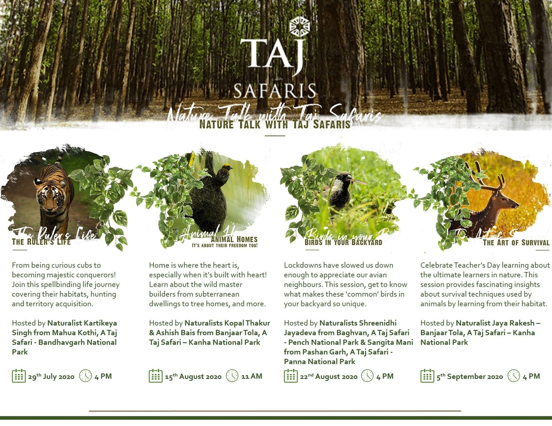 Article Banner Image